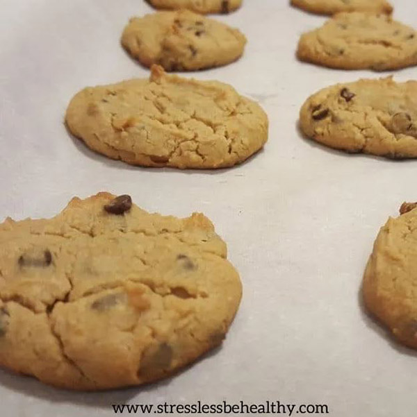 Chickpea Chocolate Chip Cookies