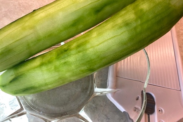 peeled  cucumbers