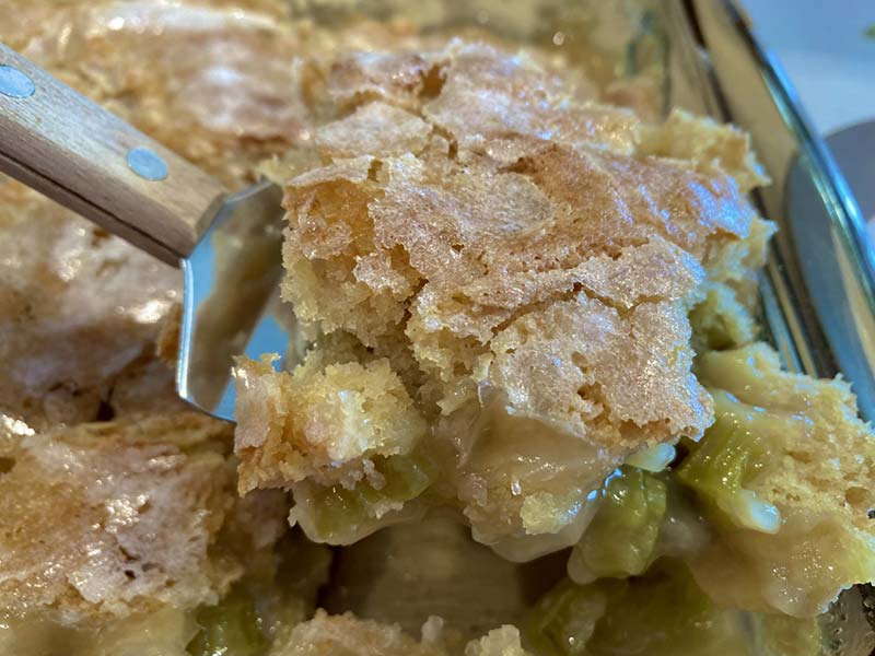 Magic Rhubarb Pudding Cake Recipe