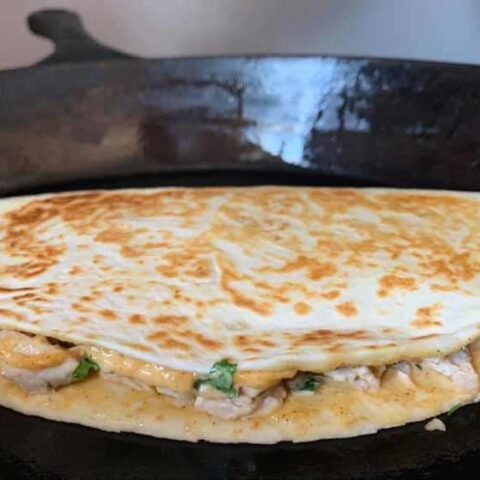 chicken quesadilla