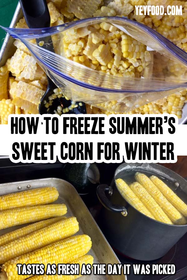 Freezing corn for winter is a bit messy but so worthwhile! Way better than “store-bought.” Serve it on Thanksgiving and watch everyone “gobble” it up!