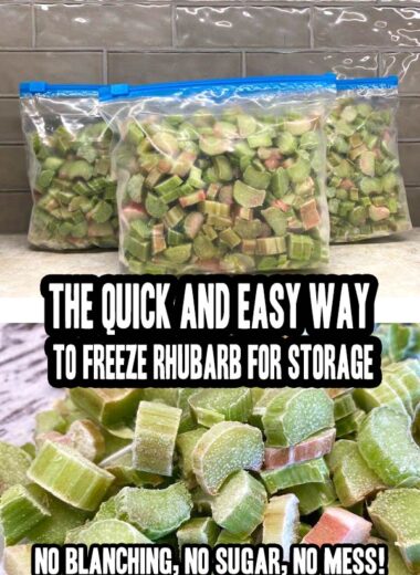 How To Freeze Rhubarb For Storage