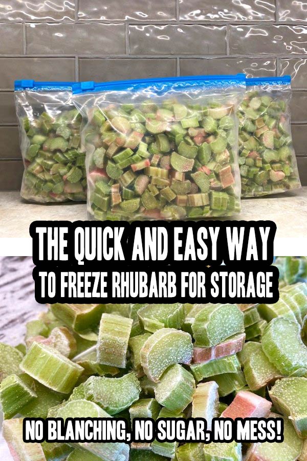 The Quick And Easy Way To Freeze Rhubarb For Storage