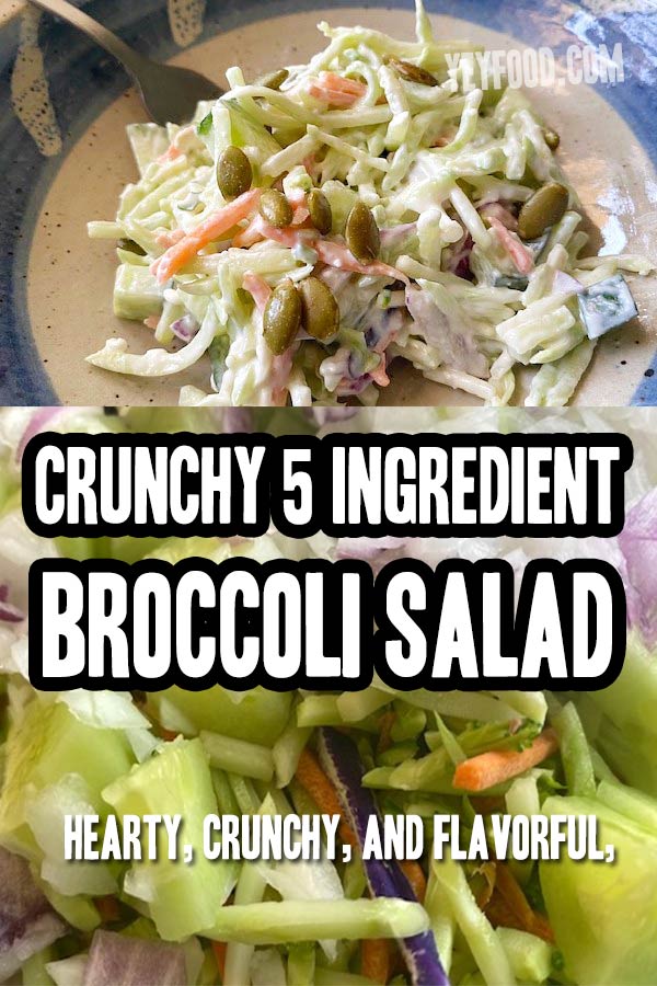 Crunchy 5 Ingredient Broccoli Salad