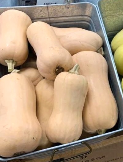 butternut squash