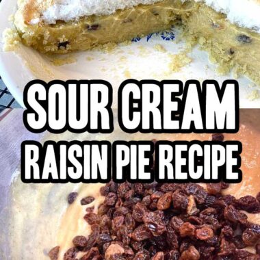 Sour Cream Raisin Pie Recipe