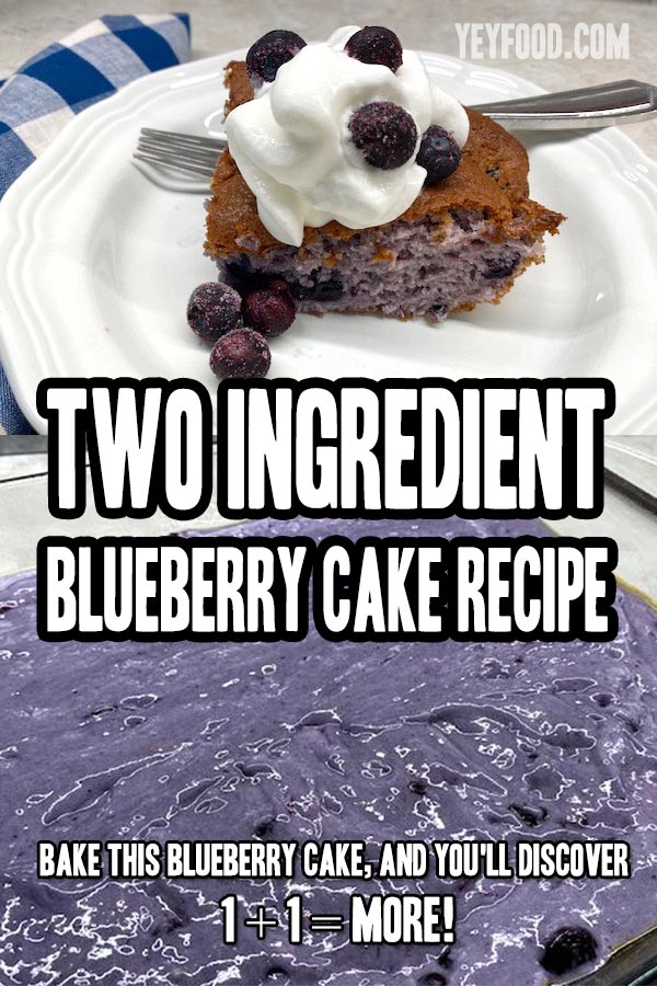Two Ingredient Blueberry Cake Recipe