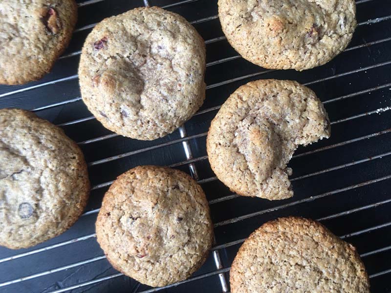 keto cranberry chocolate chip cookies