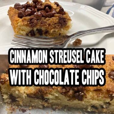 Cinnamon Streusel Cake With Chocolate Chips