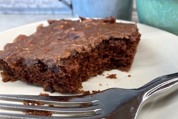 piece of Mexican chocolate cake