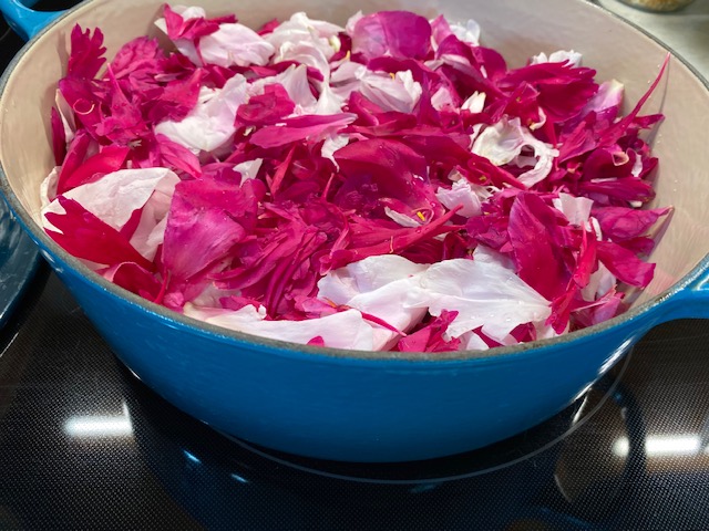 pot full of petals