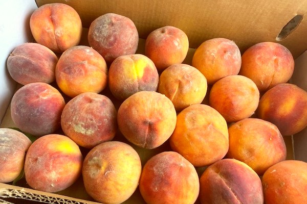 a lug of peaches