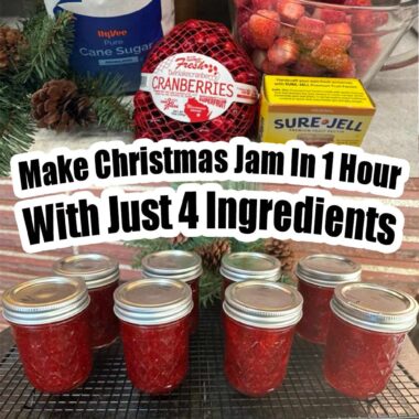 Make Christmas Jam In 1 Hour With Just 4 Ingredients