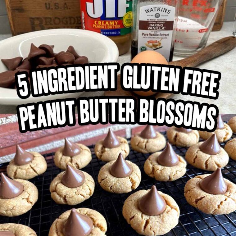 Quick And Easy Chocolate Ritz Peanut Butter Crackers - Yeyfood.com ...