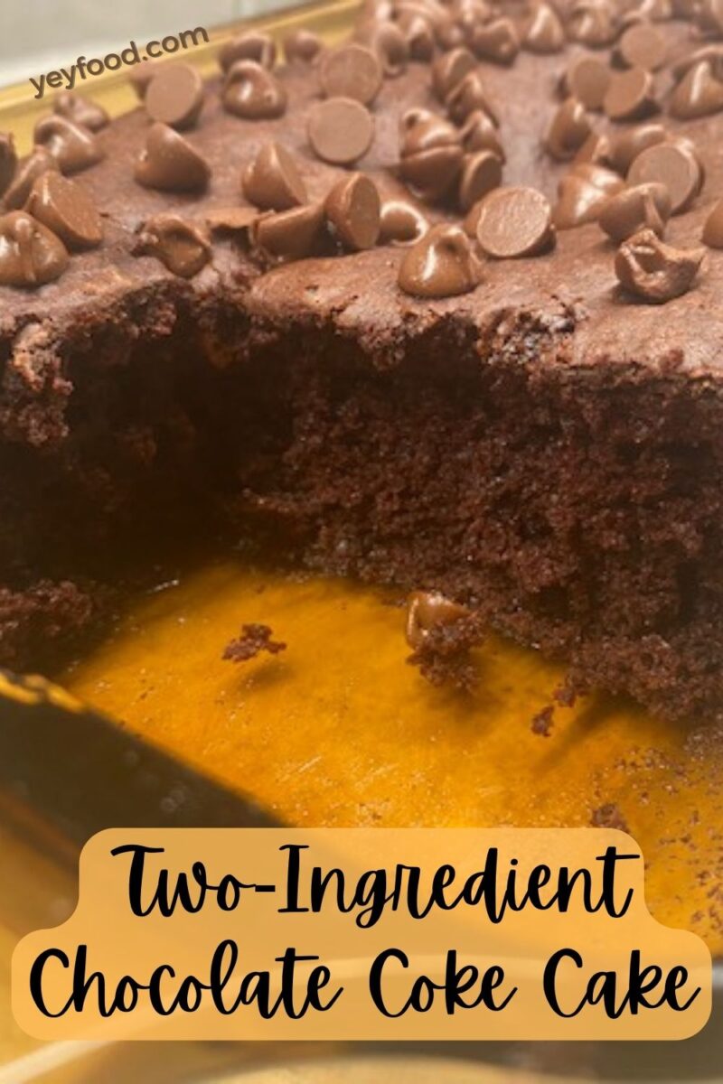 Super Tasty TwoIngredient Chocolate Coke Cake Recipes