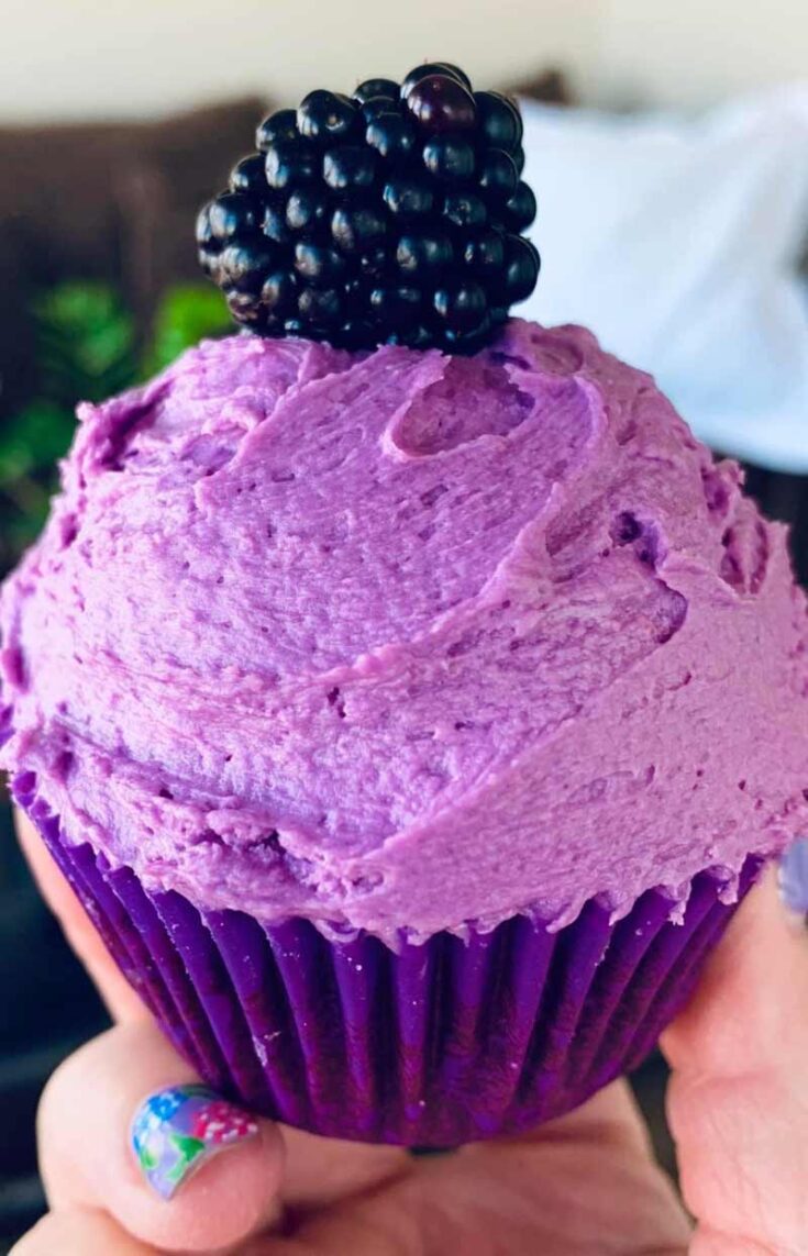 Chocolate Cupcakes With Blackberry Buttercream