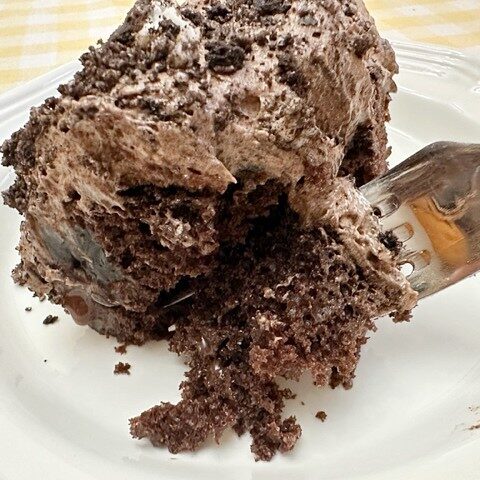 Oreo dirt cake