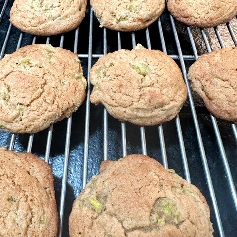 rhubarb cookies