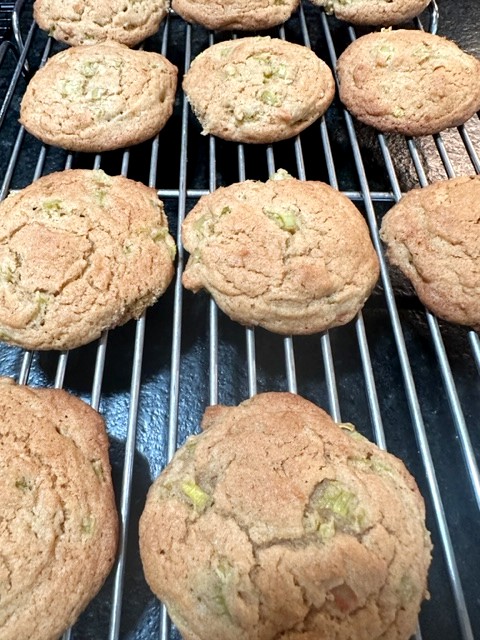 rhubarb cookies