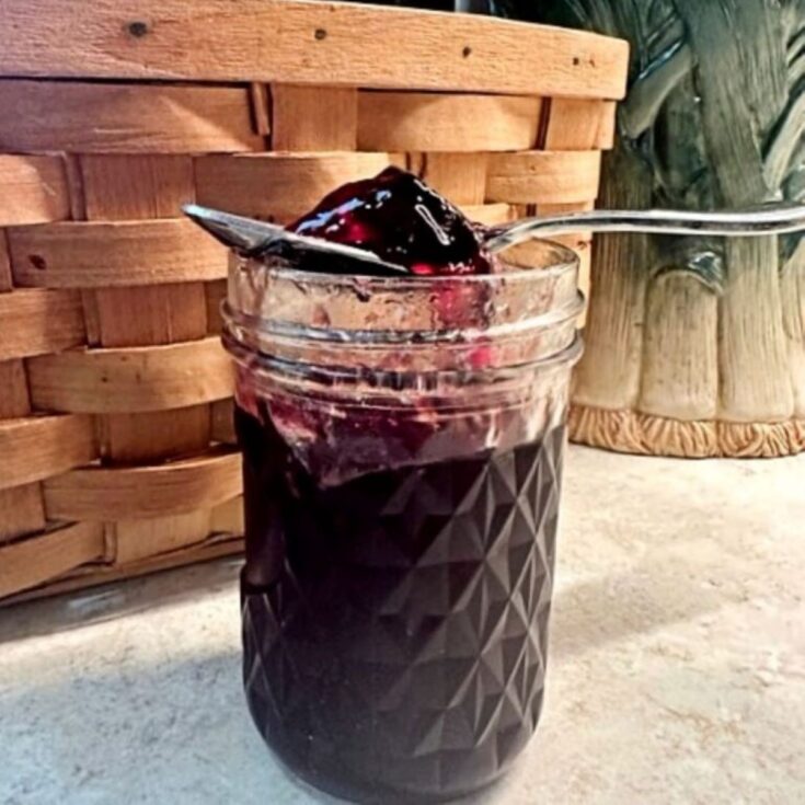 Homemade Grape Juice (with canning instructions)