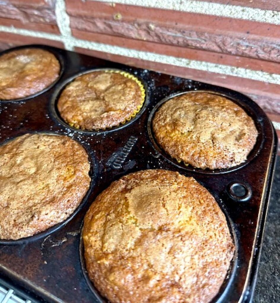 baked raisin bran muffins