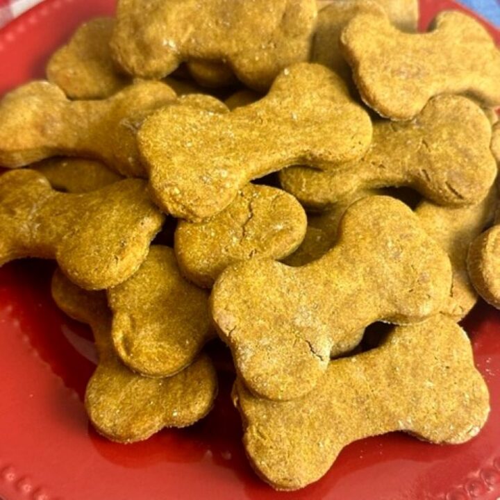 pumpkin dog treats