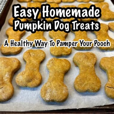 A Healthy Way To Pamper Your Pooch
