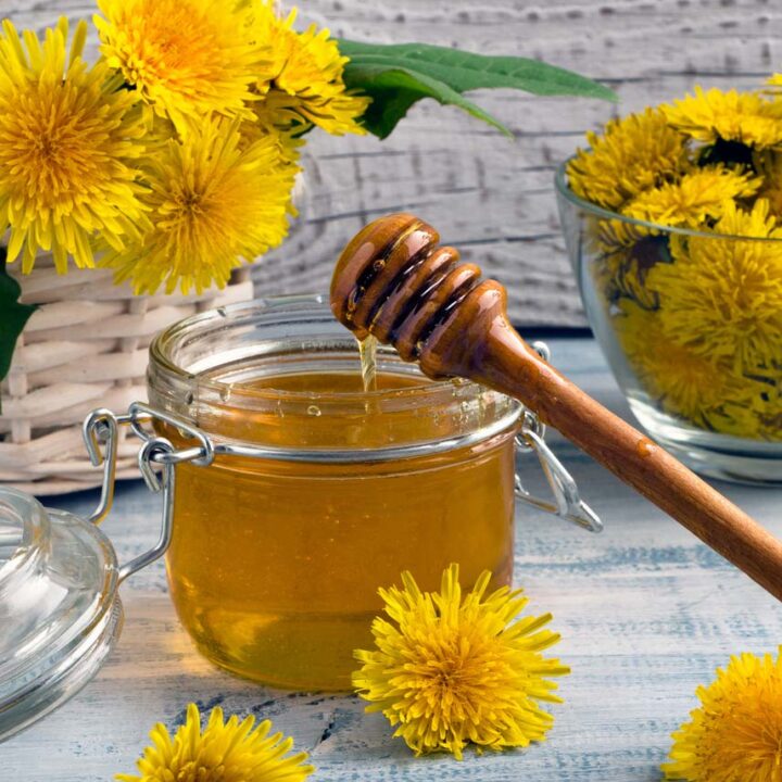 How To Make Dandelion Honey