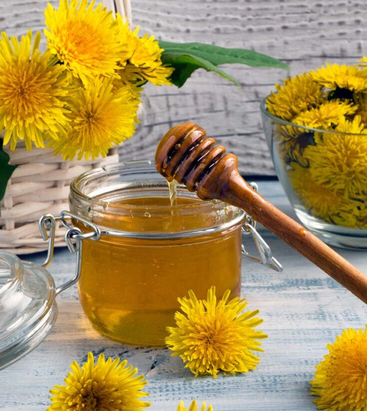 How To Make Dandelion Honey
