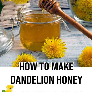 How To Make Dandelion Honey