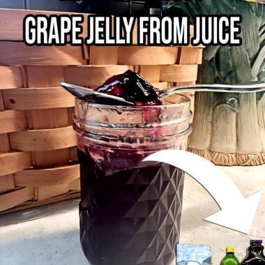 Make Delicious Grape Jelly From Juice
